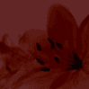Profile image tumbnail