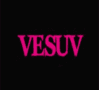 VESUV Nightclub photo 