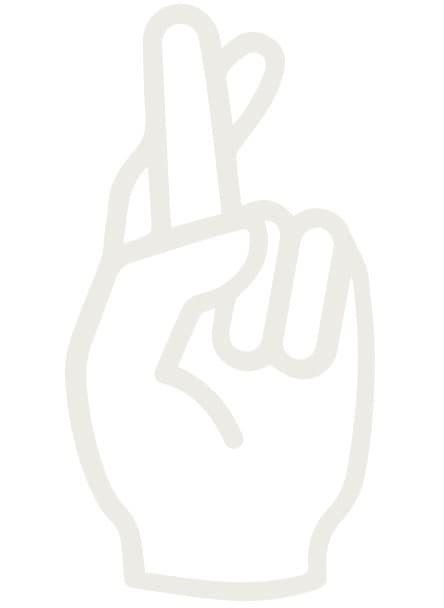 Kalif Storch - Erfurt