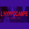 L'Hyppocampe