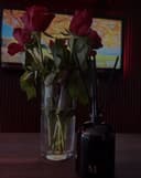 Penthouse Solingen Erotik-Lounge